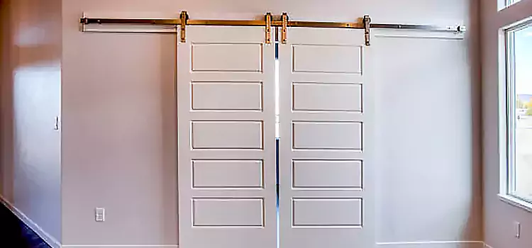 Glass Barn Door with Installation Hardware Kit Rialto